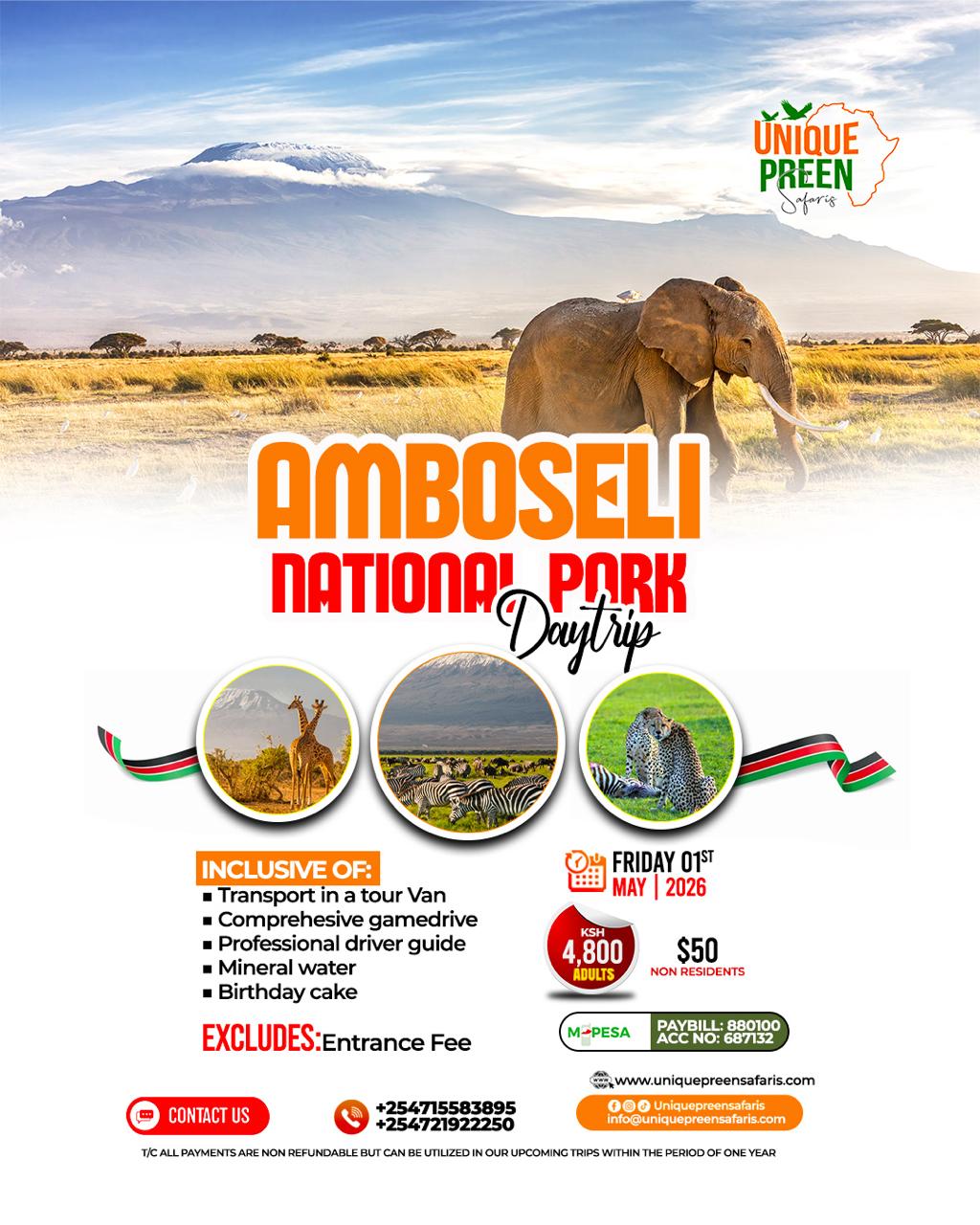Amboseli Day Trip